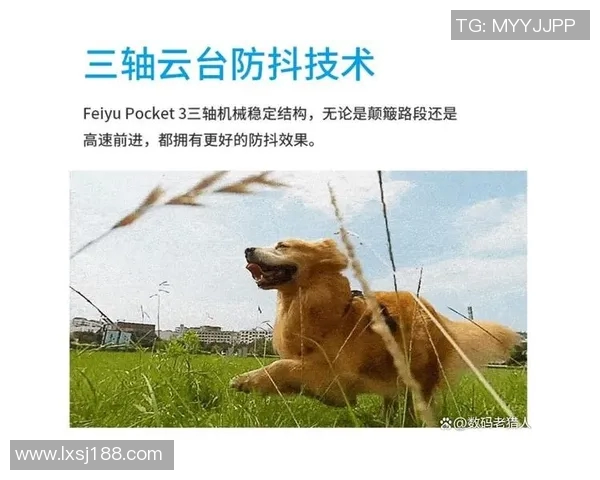 重庆极限运动队灵活性表现的数据分析与提升策略探讨 重庆极限运动队灵活性表现的数据分析与提升策略探讨