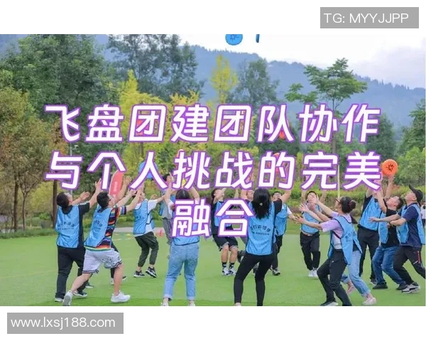 北京飞盘队的战术控制与团队协作解析